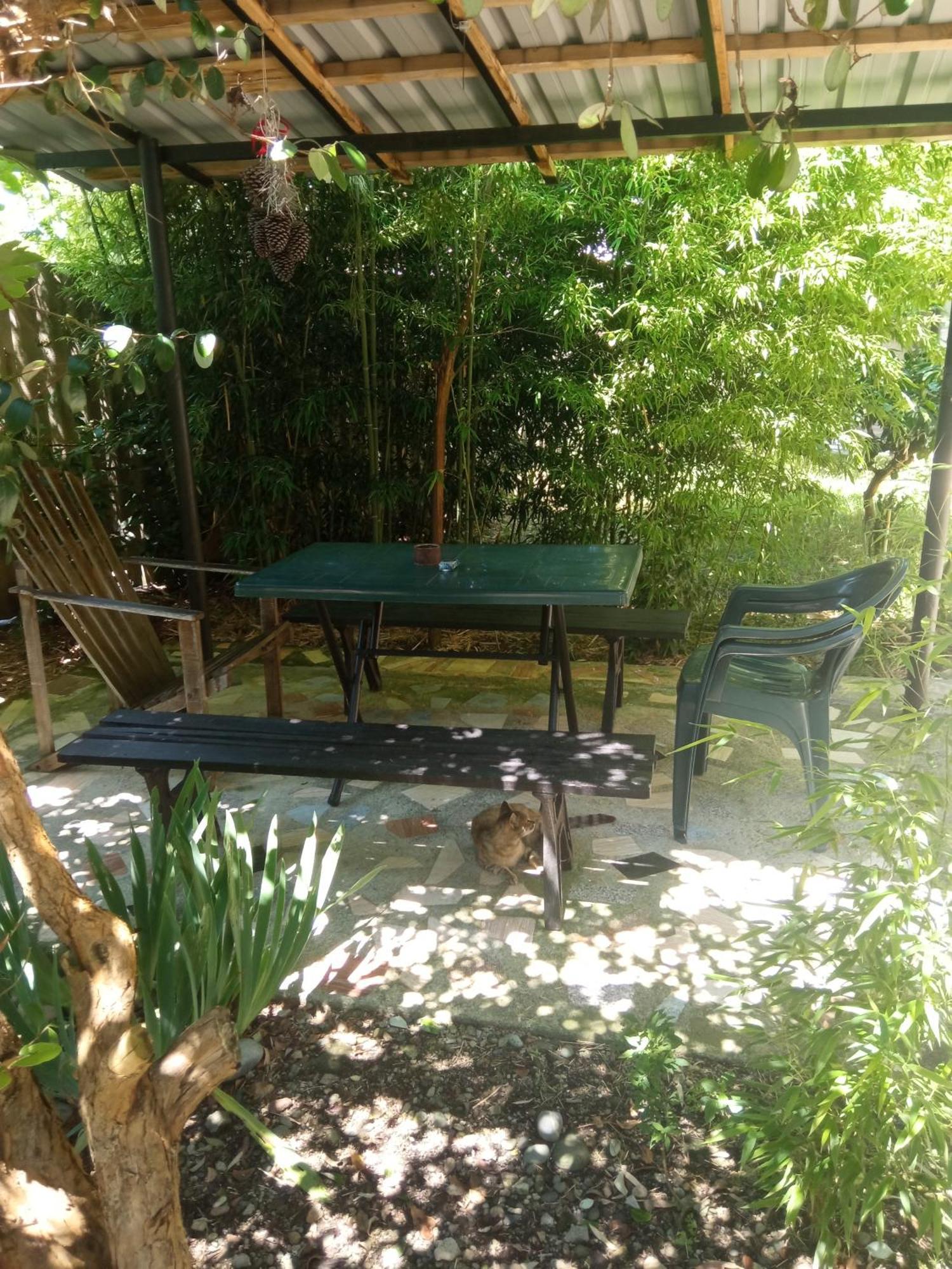 Hotel Zaza Kobuleti Zewnętrze zdjęcie
